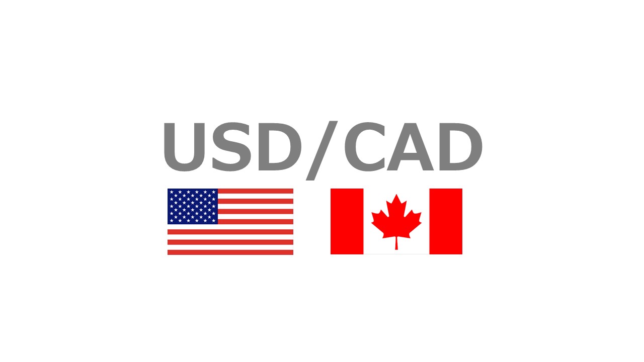 USD/CAD 国旗